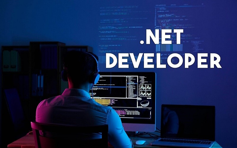.net developer là gì