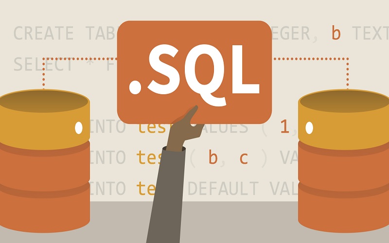 ngôn ngữ SQL
