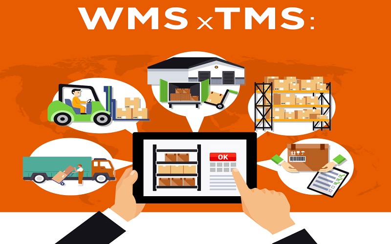 hệ thống TMS và WMS