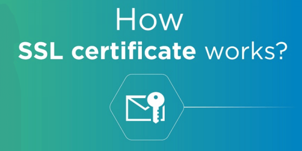 SSL là gì? Chứng chỉ SSL có ảnh hưởng như thế nào đến SEO website?