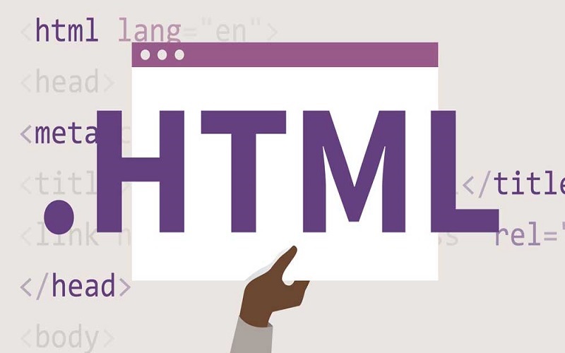 vai trò của HTML