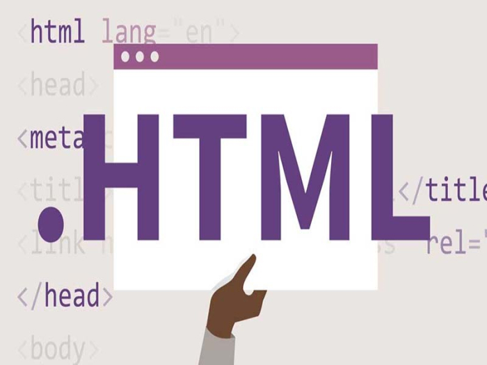 Vai trò của HTML đối với thiết kế website