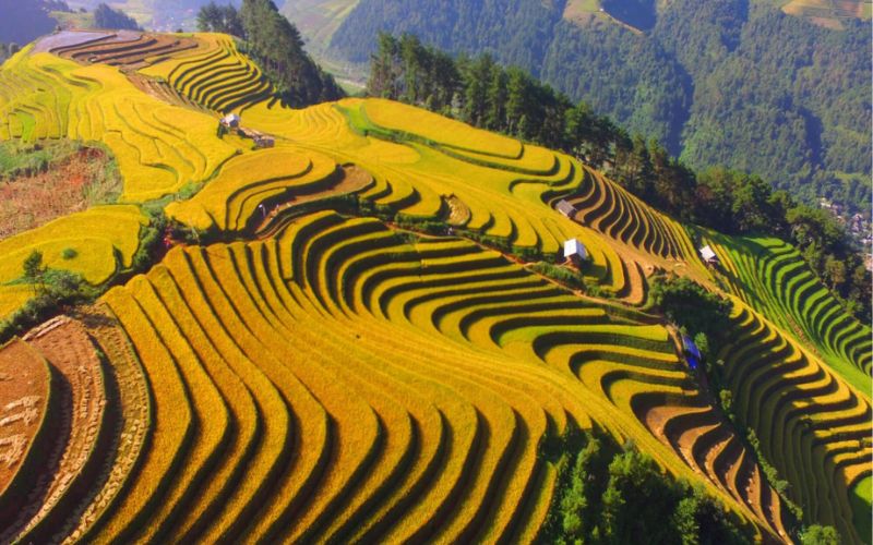 mùa thu ở Đông Bắc