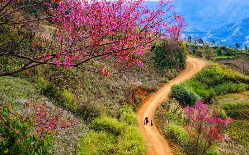 mùa xuân ở Đông Bắc